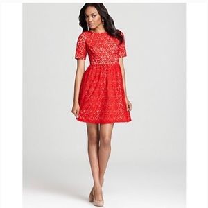Adrianna Papell Red Lace Fit and Flare Homecoming Dress- Size 8P